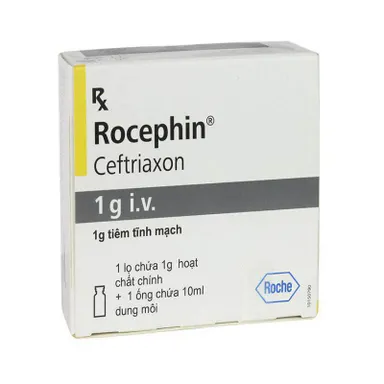 Thuốc bột pha tiêm Rocephin 1g hộp 1 lọ 1g hoạt chất + 1 ống dung môi pha tiêm