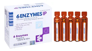 Hỗ trợ tiêu hóa 6 Enzymes IP hộp 4 vỉ x 5 ống x 10ml