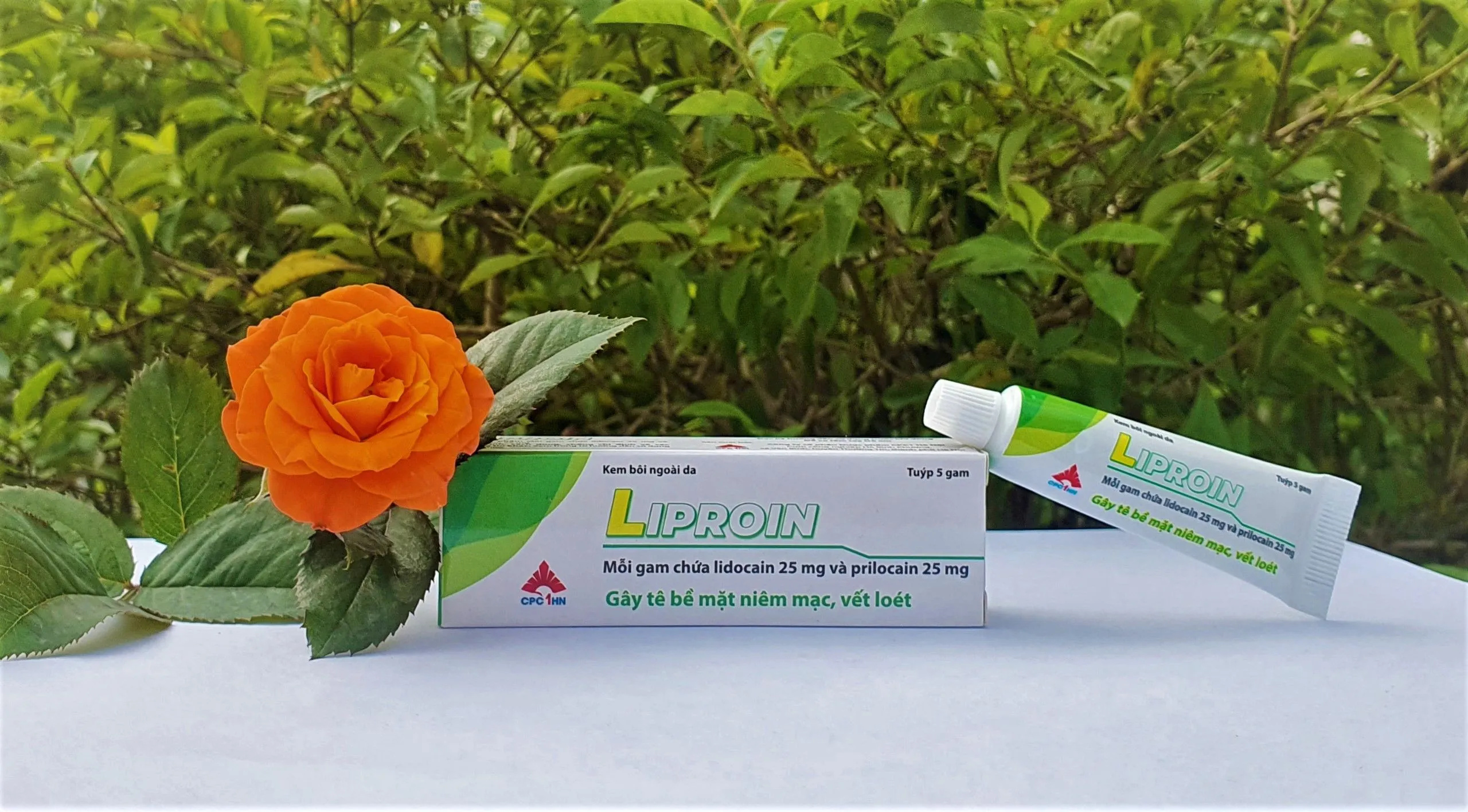 https://cdn.medigoapp.com/product/1638264867_Liproin_66e4c0b9d1.jpg