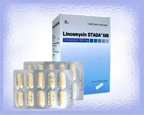 https://cdn.medigoapp.com/product/45cae66753f048688eaabac47f50d422.jpg