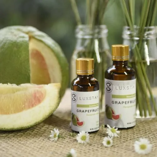 https://cdn.medigoapp.com/product/57704dcc54b844b39f165dffdcd94c8a.jpg