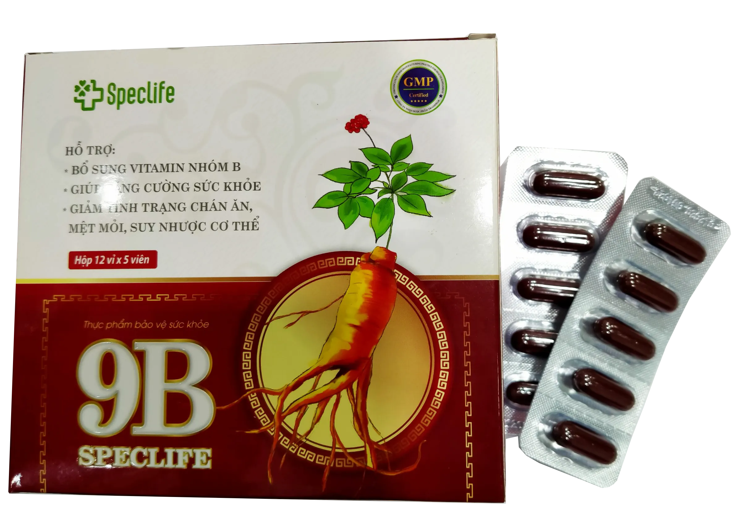 https://cdn.medigoapp.com/product/9_B_SPECLIFE_2c34ad2c93.png