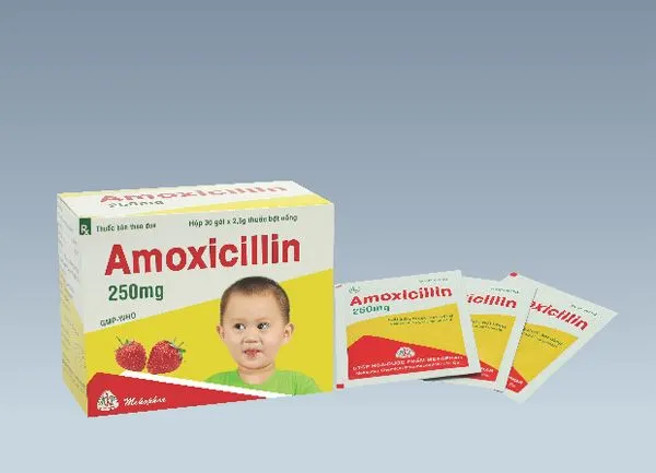 https://cdn.medigoapp.com/product/Amoxicilin_250mg_163_b8626d1147.jpg