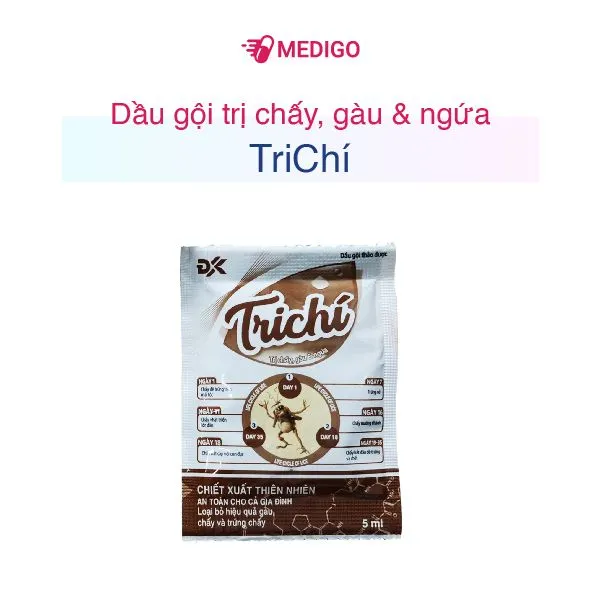 https://cdn.medigoapp.com/product/Dau_goi_tri_chay_gau_ngua_Tri_Chi_goi_5ml_1_2cad9f1720.jpg