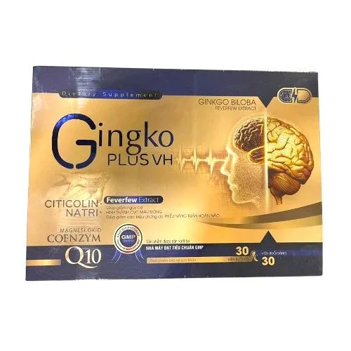 https://cdn.medigoapp.com/product/Gingko_plus_VH_08d3d43ace.jpg