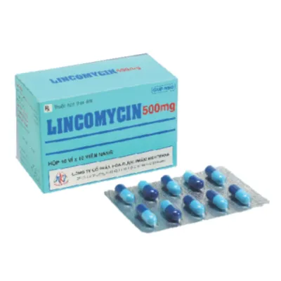 https://cdn.medigoapp.com/product/Lincomycin_500mg_Mekophar_f8d055305a.png