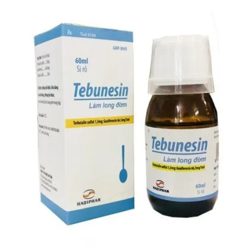 https://cdn.medigoapp.com/product/Tebunesin_baa5f3f299.png