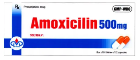 https://cdn.medigoapp.com/product/Thuoc_Amoxicilin_500_mg_MINH_DAN_525316229d.png