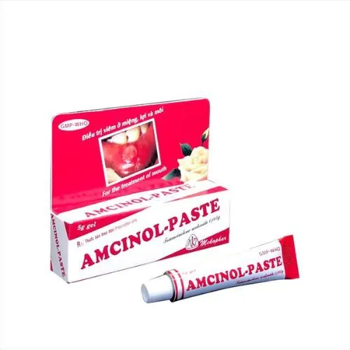 https://cdn.medigoapp.com/product/amcinol_paste_1_1_57de75f2dd.jpg