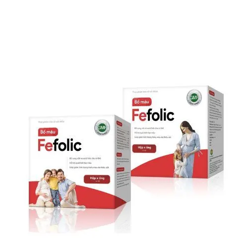 https://cdn.medigoapp.com/product/bo_mau_fefolic_th_pharma_jsc_1_d287c97545.jpg