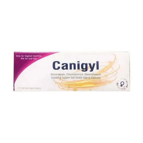 https://cdn.medigoapp.com/product/canigyl_1_f1a7c17681.jpg