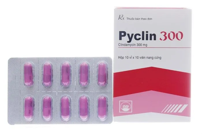https://cdn.medigoapp.com/product/clindamycin_300mg_2_700x467_db40cabe9c.jpg