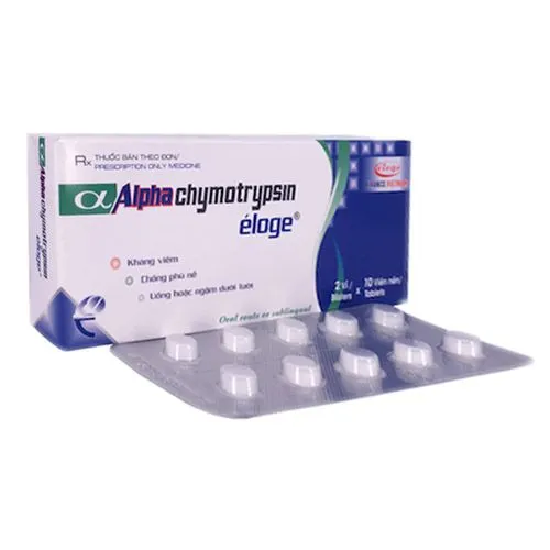 https://cdn.medigoapp.com/product/dgm_nttt_Alphachymotrypsin_Eloge_0b2972d2cc.jpg