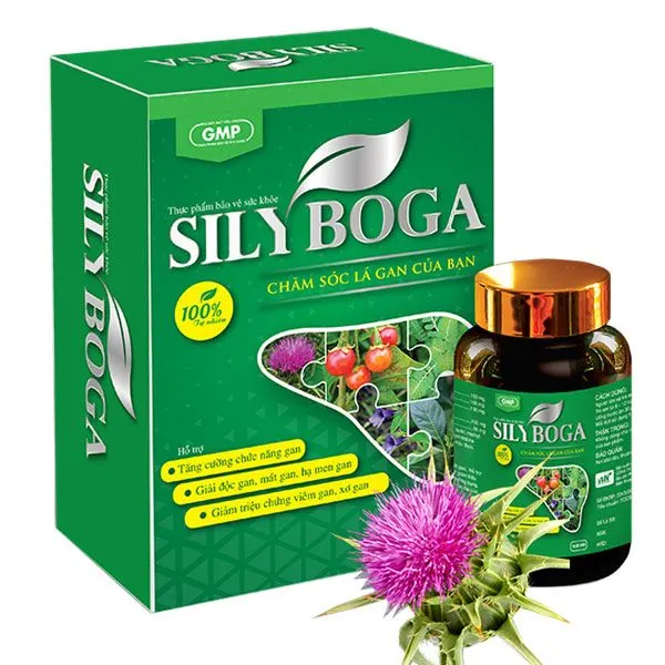 https://cdn.medigoapp.com/product/dgm_nttt_sily_boga_26136196c9.jpg