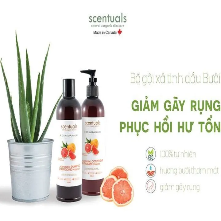 https://cdn.medigoapp.com/product/f38df36e214f4f94a4a44c5f4887338f.jpg