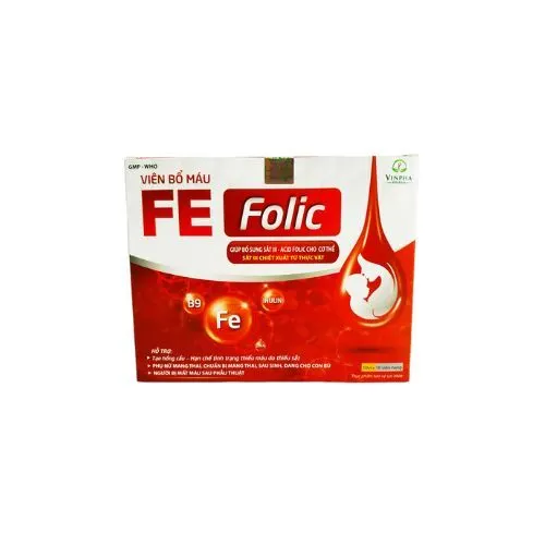 https://cdn.medigoapp.com/product/fe_folic_2_641f930809.jpg