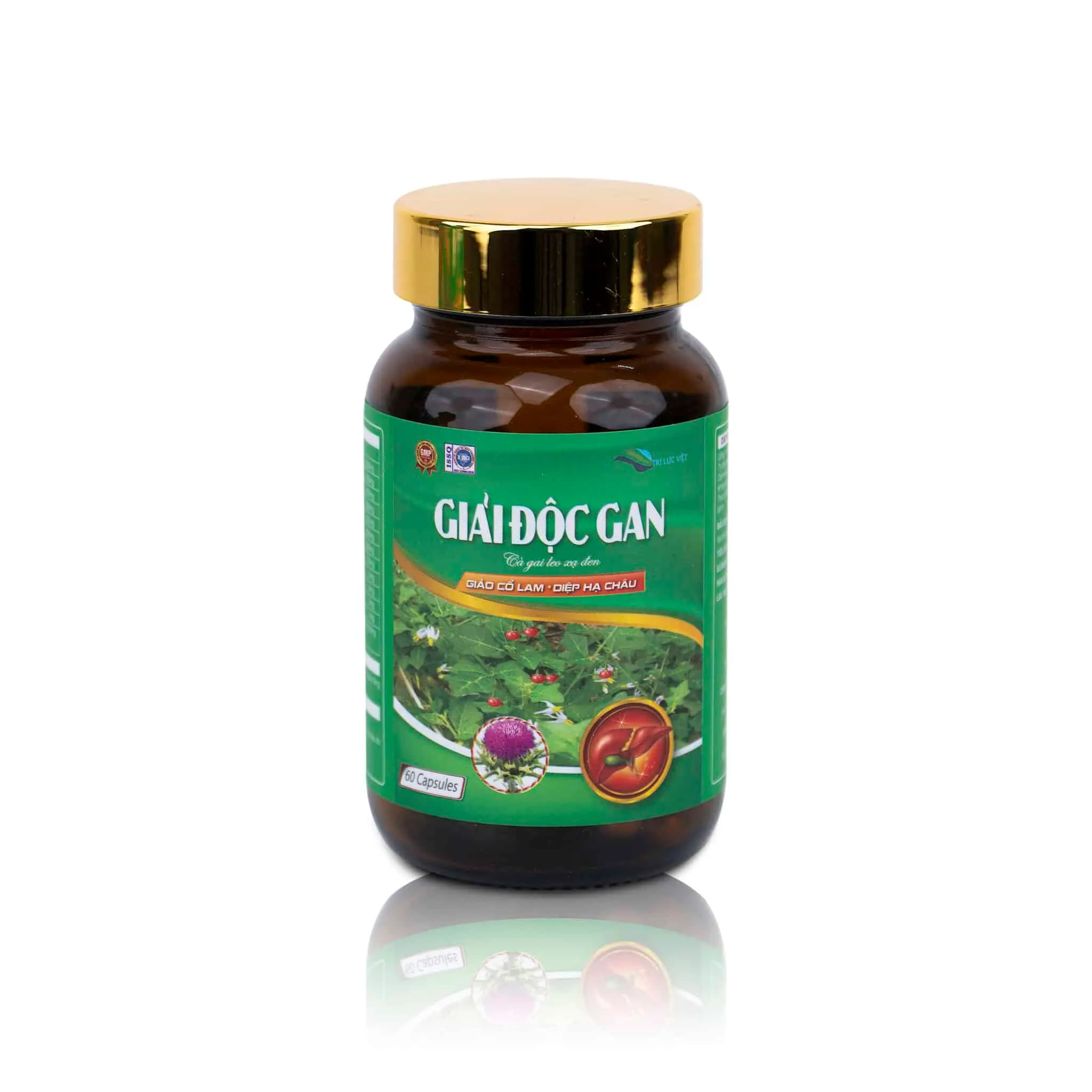 https://cdn.medigoapp.com/product/giai_doc_gan_tri_luc_viet_4_c4de9968fd.jpg