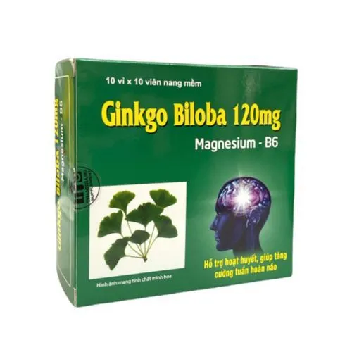 https://cdn.medigoapp.com/product/ginkgo_biloba_120mg_magnesium_b6_2_e7c5b7bc14.jpg