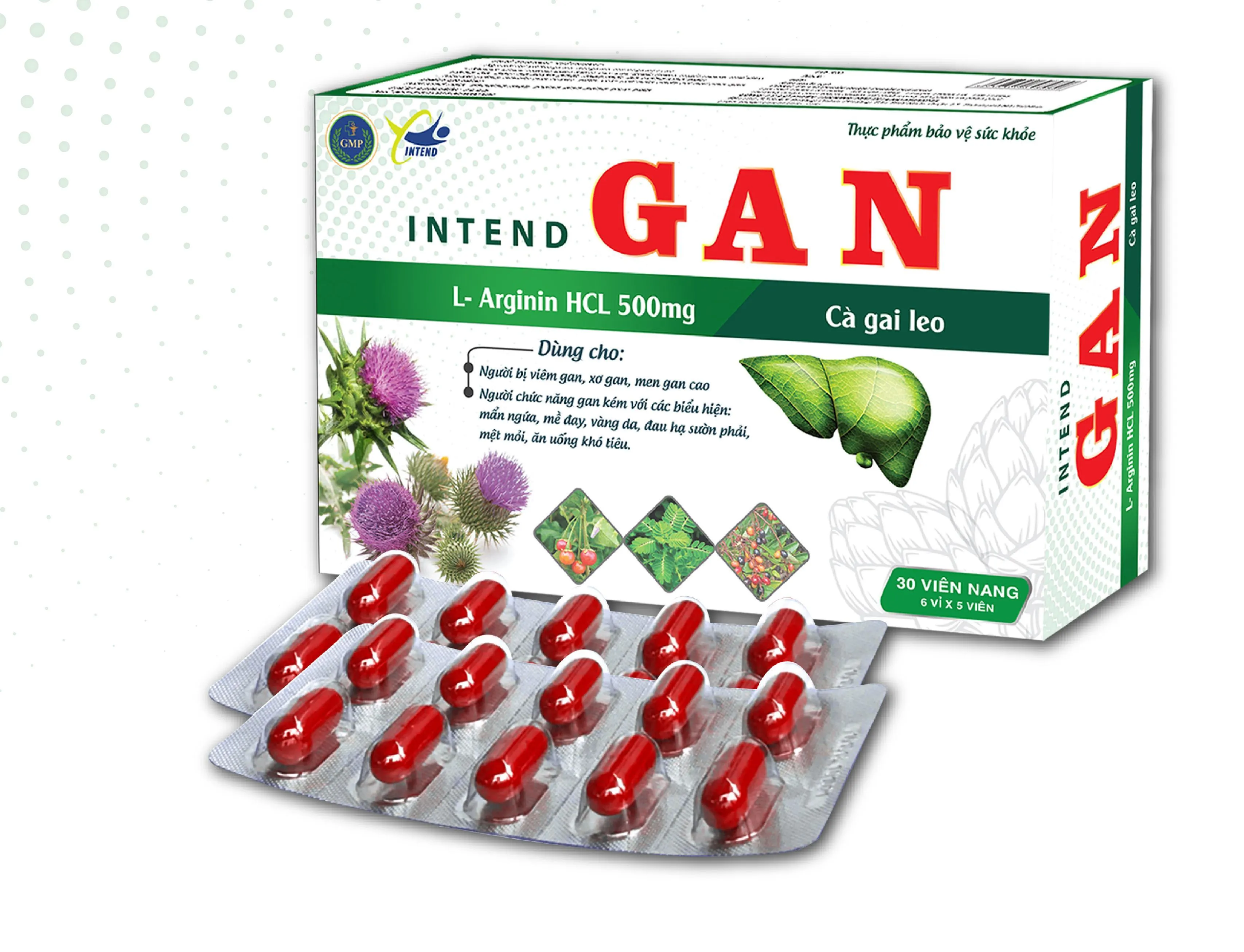 https://cdn.medigoapp.com/product/intend_gan_194fbd1cb1.jpg