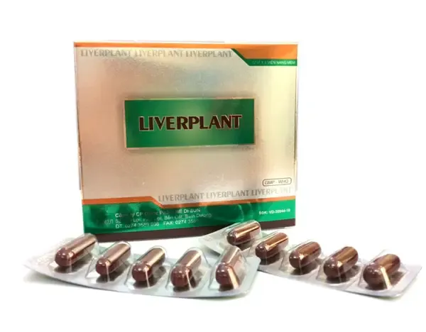 https://cdn.medigoapp.com/product/liverplant2_f38a6d7ce8.webp