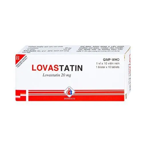 https://cdn.medigoapp.com/product/lovastatin_20mg_1_7b565f18af.jpg
