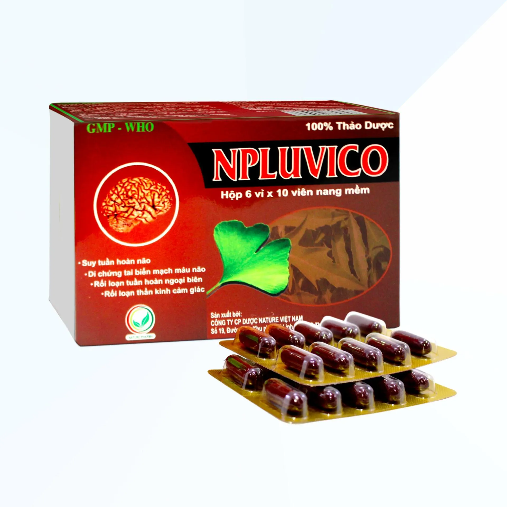 https://cdn.medigoapp.com/product/mochanstore_com_BP_Pharma_Hoat_Huyet_Duong_Nao_NPLUVICO_Cai_Thien_Tri_Nho_Tuan_Hoan_Nao_Hop_30_vien_1_a54dfdb0b5.jpg
