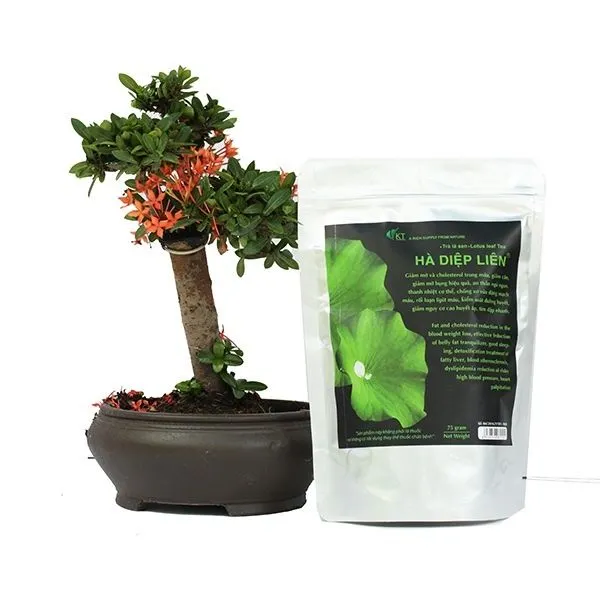 https://cdn.medigoapp.com/product/product_s1298_792c849659.jpg