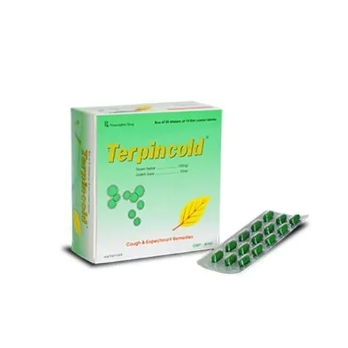 https://cdn.medigoapp.com/product/terpincold_1_db92279cbd.jpg