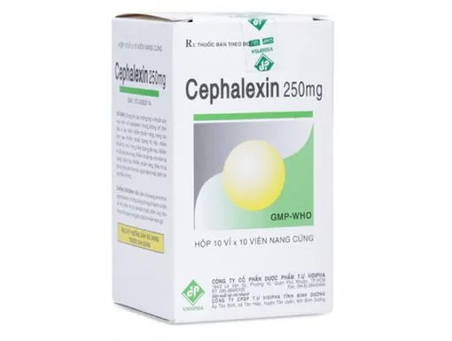 https://cdn.medigoapp.com/product/thuoc_cephalexin_250mg_vidi_22_17322_730bdeae32.jpg