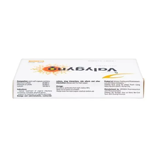 https://cdn.medigoapp.com/product/valygyno_1_46439cf3ad.jpg