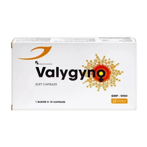 https://cdn.medigoapp.com/product/valygyno_2_026d846dbb.jpg