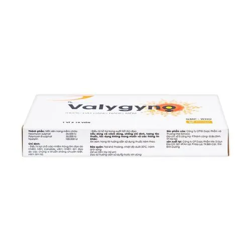 https://cdn.medigoapp.com/product/valygyno_6_c82b1c1283.jpg