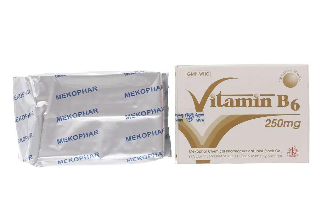 https://cdn.medigoapp.com/product/vitamin_b6_mekophar_250mg_1_936afbb812.jpeg