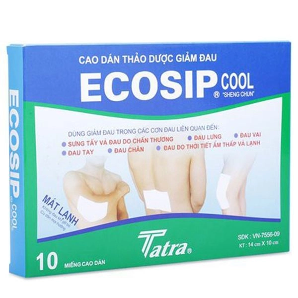 Cao Dán Thảo Dược Giảm Đau ECOSIP COOL hộp 2 gói x 5 miếng