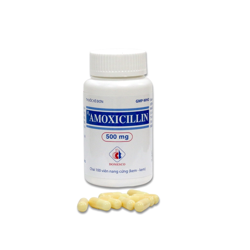 Thuốc kháng sinh Amoxicillin 500mg (Domesco) lọ 100 viên