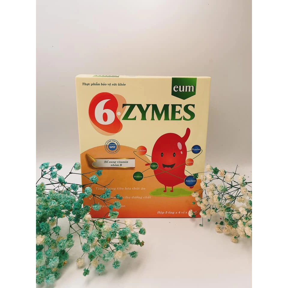 Thực phẩm hỗ trợ rối loạn tiêu hoá 6Zymes hộp 20 ống x 10ml
