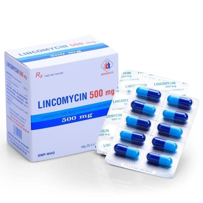 Thuốc kháng sinh Lincomycin 500mg Domesco hộp 20 vỉ x 10 viên