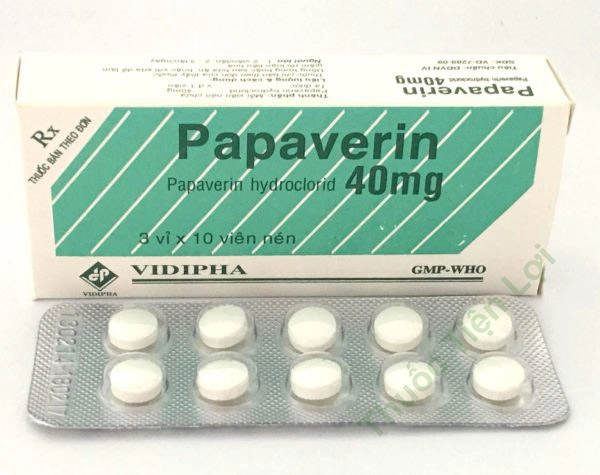 Giảm đau có thắt đường tiêu hóa Papaverin 40mg hộp 30 viên