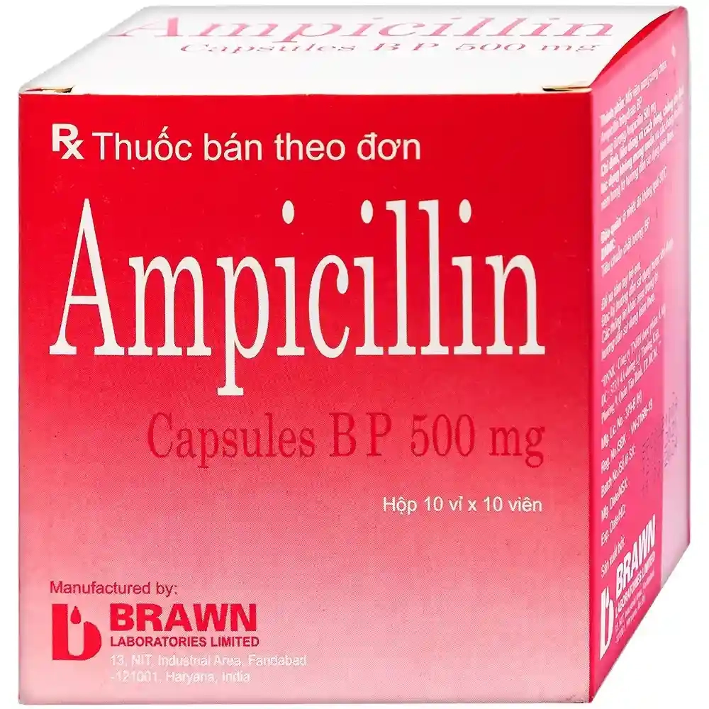Thuốc kháng sinh Ampicilline capsules BP 500mg Brawn hộp 10 vỉ x 10 viên
