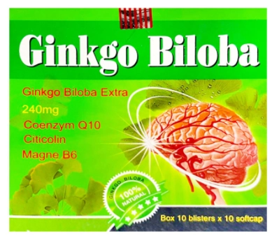Viên uống bổ não Ginkgo Biloba Extra 240mg (USA Pharma) hộp 10 vỉ x 10 viên