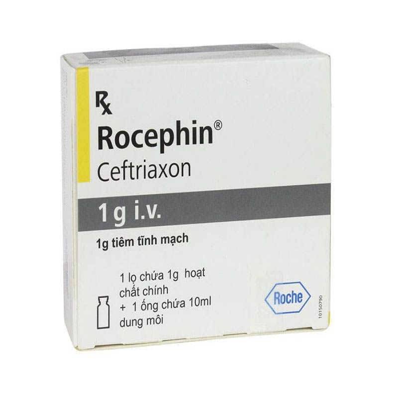 Thuốc bột pha tiêm Rocephin 1g hộp 1 lọ 1g hoạt chất + 1 ống dung môi pha tiêm