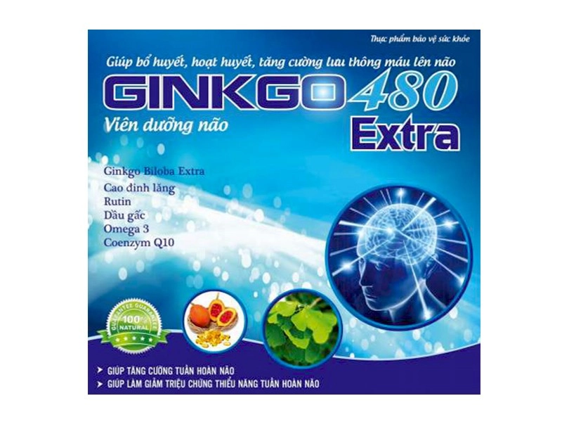 Thực phẩm bảo vệ sức khỏe Ginkgo 480 Extra hộp 10 vỉ x 10 viên