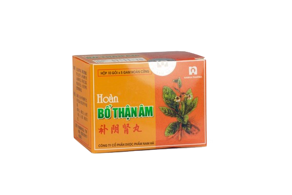 Hoàn Bổ Thận Âm (DP Nam Hà) hộp 10 gói x 5g