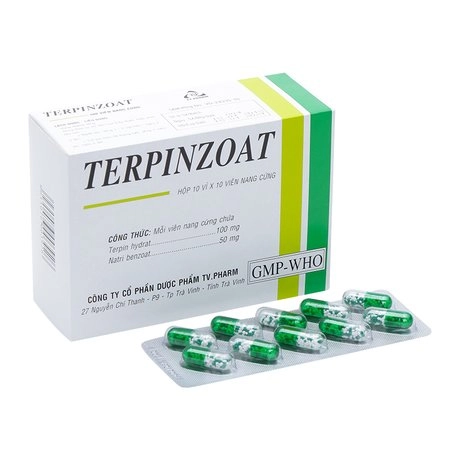 Thuốc trị ho, long đờm Terpinzoat hộp 100 viên nang cứng
