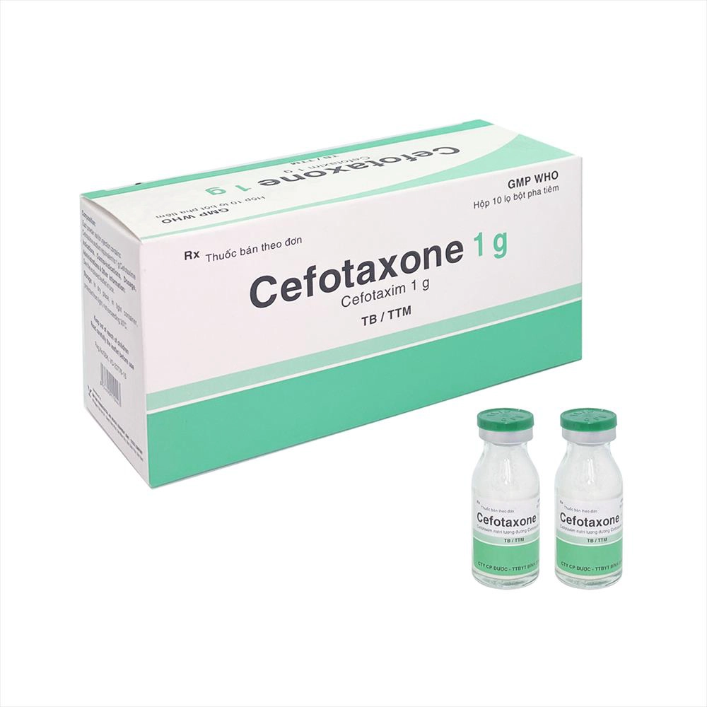 Thuốc kháng sinh Cefotaxone 1g Bidiphar hộp 10 lọ