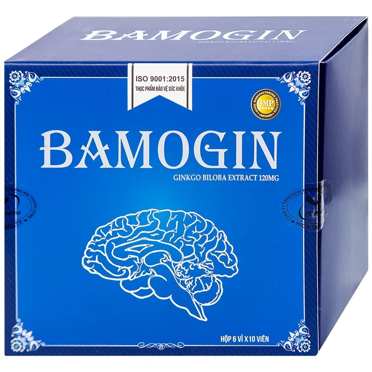 Gíup tăng cường tuần hoàn não, cải thiện trí nhớ Bamogin Thành Công hộp 6 vỉ x 10 viên