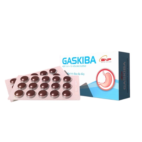 https://cdn.medigoapp.com/product/GASKIBA_79e89ae757.png