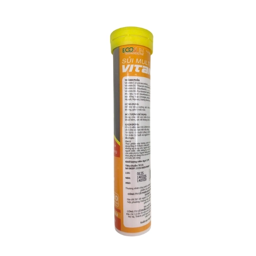 https://cdn.medigoapp.com/product/Multi_Vitamin_Ecosun_1_6fc20c874e.png