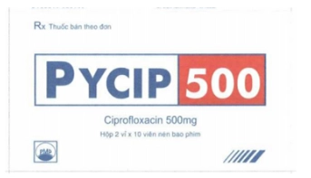 https://cdn.medigoapp.com/product/Pycip_500mg_1_d32d9dd7a2.png