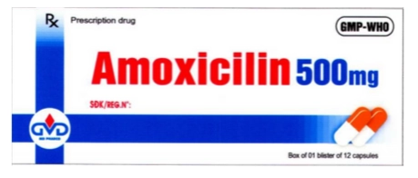 https://cdn.medigoapp.com/product/Thuoc_Amoxicilin_500_mg_MINH_DAN_525316229d.png